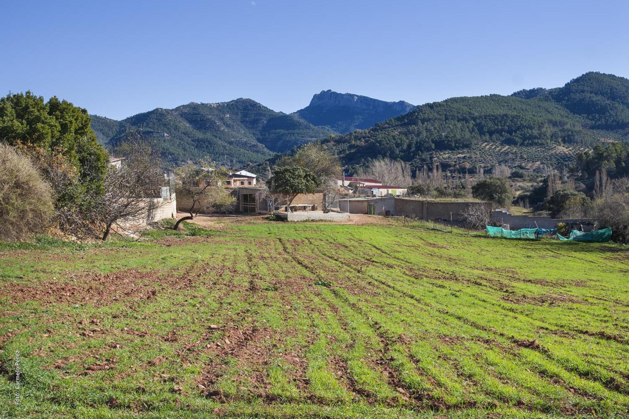 Casa Rural Chache Casto Bienservida 외부 사진